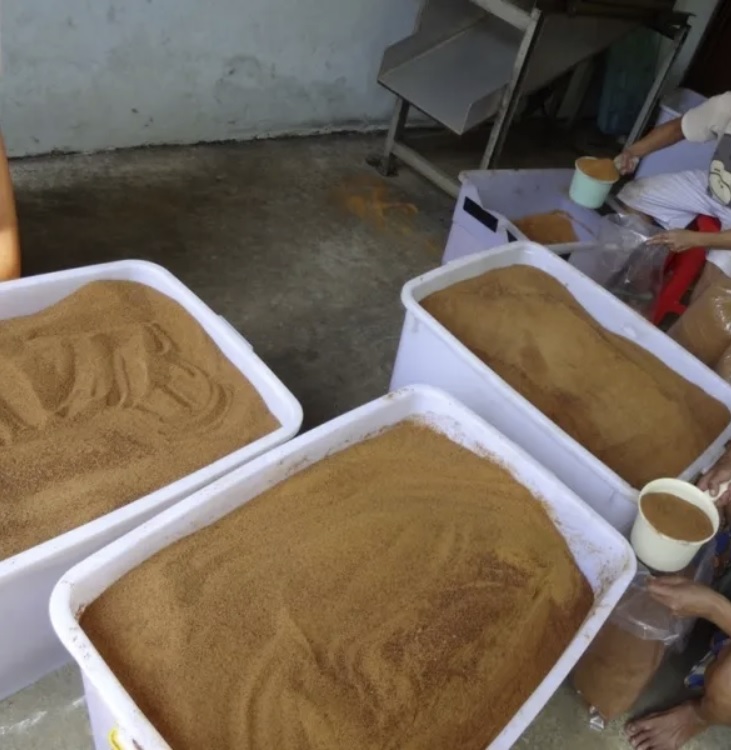 Coconut sugar production